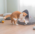 Load image into Gallery viewer, Nooee Pet Wool Toy Balls (2CM)