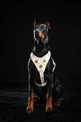 Load image into Gallery viewer, The "Maximus" harness White
