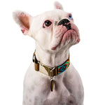 Bahamas dog collar (quick release)