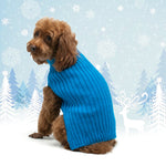 PP Basic Turtleneck Sweater