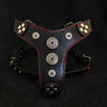 Load image into Gallery viewer, The ''Bijou'' harness Black & Red Small to Medium Size