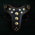 Load image into Gallery viewer, 'Bijou'' harness Black & Orange for big dogs
