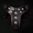 Load image into Gallery viewer, 'Bijou'' harness Black & Pink for big dogs