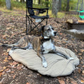 Load image into Gallery viewer, Bed 'n a Bag Travel Dog Bed