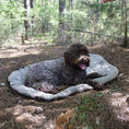 Load image into Gallery viewer, Bed 'n a Bag Travel Dog Bed