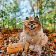 BARKIN BAG