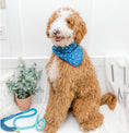 Load image into Gallery viewer, Marlowe Dog Bandana