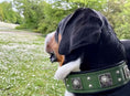 Load image into Gallery viewer, The "Eros" collar 2.5 inch wide Green