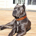 Load image into Gallery viewer, The "Korona" collar BROWN