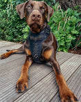 Load image into Gallery viewer, 'BATMAN'' Dogs and pets HARNESS