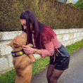 Load image into Gallery viewer, The ''D`Albertis'' collar