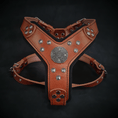 Load image into Gallery viewer, The ''Maximus'' harness brown & silver Small to Medium Size