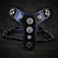 Load image into Gallery viewer, The ''Bijou'' harness Black & Blue Small to Medium Size