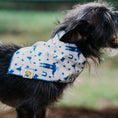 Load image into Gallery viewer, Big Tex Dog Bandana in Blue x Studio Orch Collaboration Collection