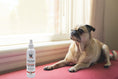 Load image into Gallery viewer, Dog Bitter Spray Anti-Chew - Anti-Lick