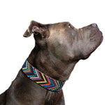 Bixie Sambboho dog collar
