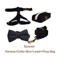 Load image into Gallery viewer, Black Velvet Set