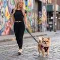 Load image into Gallery viewer, EcoBark Step In Dog Harness - XXXS to Small Breeds- Reflective Soft Mesh Harness for Teacup, Small Dogs and Puppies / Black w/ Pink Piping