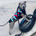 Load image into Gallery viewer, Black Southwest Dog Sweater