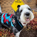 Load image into Gallery viewer, Black Southwest Dog Sweater