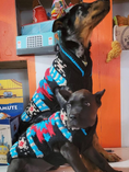 Load image into Gallery viewer, Black Southwest Dog Sweater
