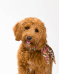 Load image into Gallery viewer, CLASSIC NECKTIE