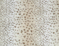 Load image into Gallery viewer, Cheetah Blanket