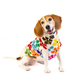 Load image into Gallery viewer, Bloom Dog Sweater