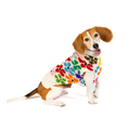 Load image into Gallery viewer, Bloom Dog Sweater