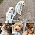 Load image into Gallery viewer, Light Blue Velvet Set