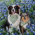 Load image into Gallery viewer, Limoncello Dog Bandana