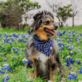 Load image into Gallery viewer, Lavender Fields Forever Dog Bandana