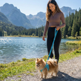 Load image into Gallery viewer, EcoBark Step In Dog Harness - XXXS to Small Breeds- Reflective Soft Mesh Harness for Teacup, Small Dogs and Puppies / Sky Blue
