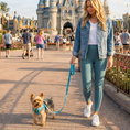Load image into Gallery viewer, EcoBark Step In Dog Harness - XXXS to Small Breeds- Reflective Soft Mesh Harness for Teacup, Small Dogs and Puppies / Sky Blue