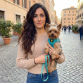 Load image into Gallery viewer, EcoBark Step In Dog Harness - XXXS to Small Breeds- Reflective Soft Mesh Harness for Teacup, Small Dogs and Puppies / Sky Blue
