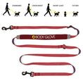 Load image into Gallery viewer, Body Glove Beach Walk Handsfree Pet Leash
