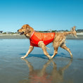 Load image into Gallery viewer, Body Glove Crystal Cool Pet Cooling Shirt