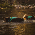 Load image into Gallery viewer, Body Glove Neoprene Pet Life Jacket