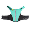 Load image into Gallery viewer, Body Glove Neoprene Pet Life Jacket