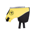 Load image into Gallery viewer, Body Glove Neoprene Pet Life Jacket