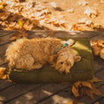 Load image into Gallery viewer, Body Glove Paintflower Pet Napper - Pet Bed - Moss - Medium