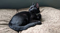 Load image into Gallery viewer, Body Glove Paintflower Pet Napper - Pet Bed