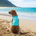 Load image into Gallery viewer, Body Glove Pet Sun Shirt