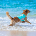 Load image into Gallery viewer, Body Glove Pet Sun Shirt