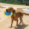 Load image into Gallery viewer, Body Glove Tough Toss Disc - Fetch Disk Toy For Dogs