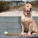 Body Glove Tough Tug Toy