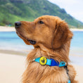 Load image into Gallery viewer, Body Glove Waterproof Dog Collar