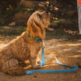 Load image into Gallery viewer, Body Glove Waterproof Dog Leash