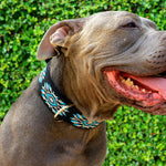 Bora Bora Sambboho dog collar (with center D-ring)