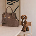 Load image into Gallery viewer, Nooee Pet Ash Felt Dog Carrier